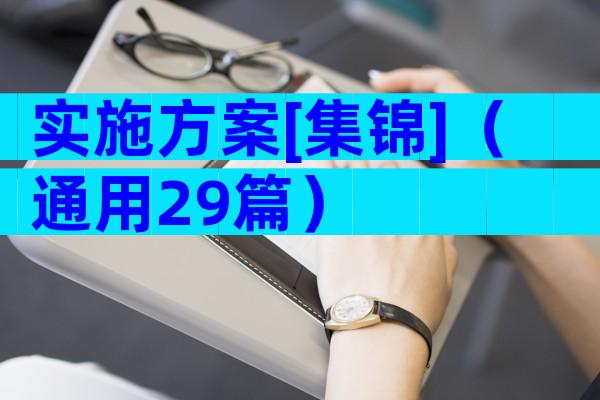 实施方案[集锦]（通用29篇）